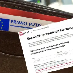 Jak sprawdzić gdzie jest prawo jazdy i uniknąć zbędnych problemów