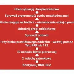 Pierwsza pomoc na egzaminie prawa jazdy: Co musisz wiedzieć