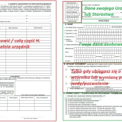 Jak przedłużyć prawo jazdy w Polsce - krok po kroku do nowego dokumentu