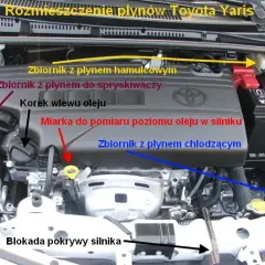 Pytania na egzaminie praktycznym: Kluczowe aspekty i porady