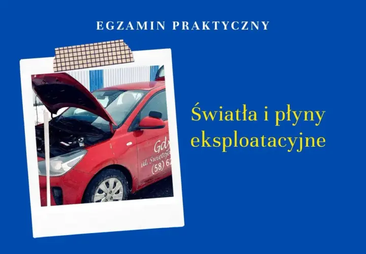 Czerwone Kia Rio z otwartą maską. Na drzwiach widnieje napis "Gdynia ul. Świętojańska (58) 6...". Obok tekst "Światła i płyny eksploatacyjne". Ile jest świateł pozycyjnych w Kia Rio?