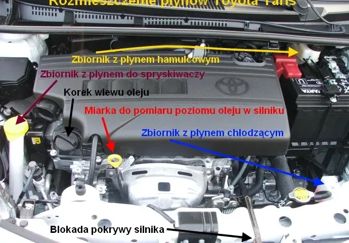 Pytania na egzaminie praktycznym: Kluczowe aspekty i porady