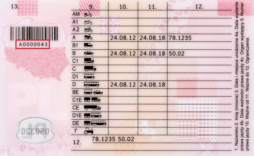 Numer druku prawa jazdy: Gdzie jest i jak go znaleźć?
