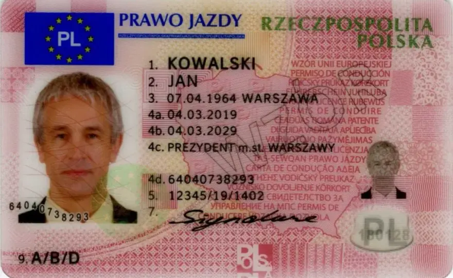 Jak zdobyć prawo jazdy w dwa tygodnie? Fakty i wyzwania