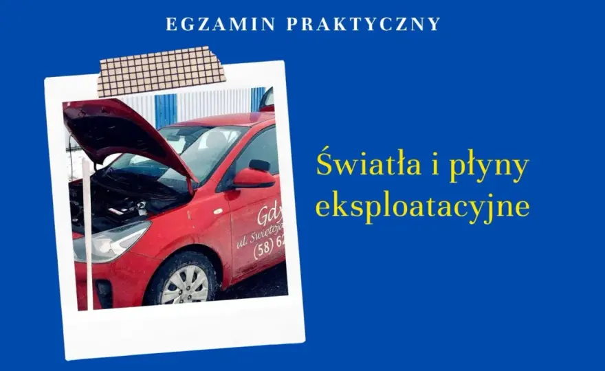 Ile świateł pozycyjnych ma Kia Rio? Sprawdź!