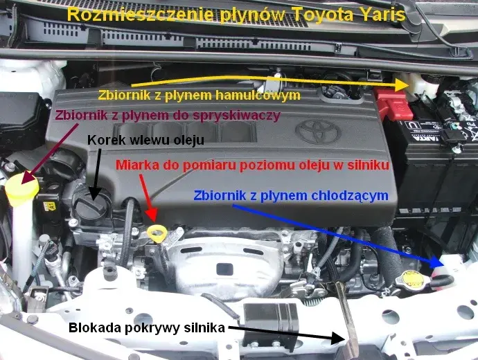 Pytania na egzaminie praktycznym: Kluczowe aspekty i porady