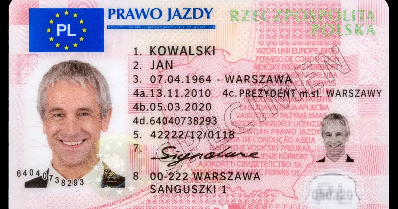 Zdjęcie do prawa jazdy z widocznymi uszami, przedstawiające mężczyznę, dane osobowe i numer dokumentu.