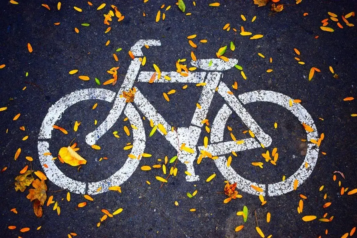 Znak rowerowy na asfalcie, zasypany jesiennymi liśćmi. Czy bez karty rowerowej można jeździć po chodniku? To pytanie zadaje sobie wielu rowerzystów.